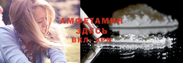 индика Валдай